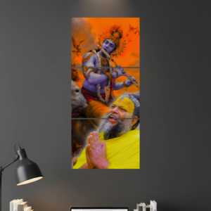 Premanand Maharaj D2 Split Poster - Wall Art Poster